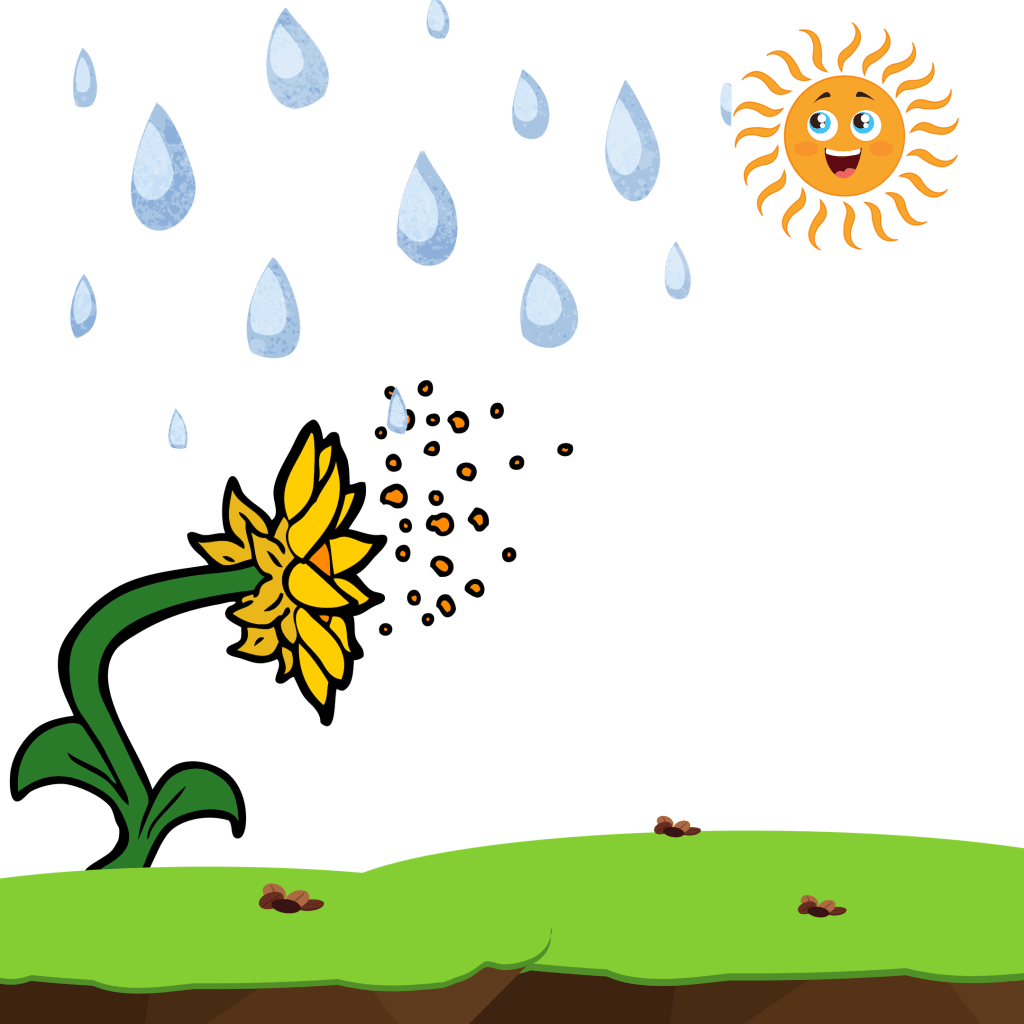 How tall would a tree&nbsp;grow?